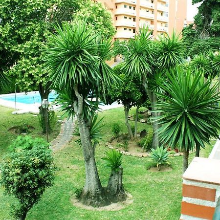 Apartamentos San Carlos ベナルマデナ エクステリア 写真
